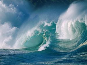 Waves in the Ocean