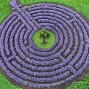 3 Tips for Navigating the Maze of Life with Ease